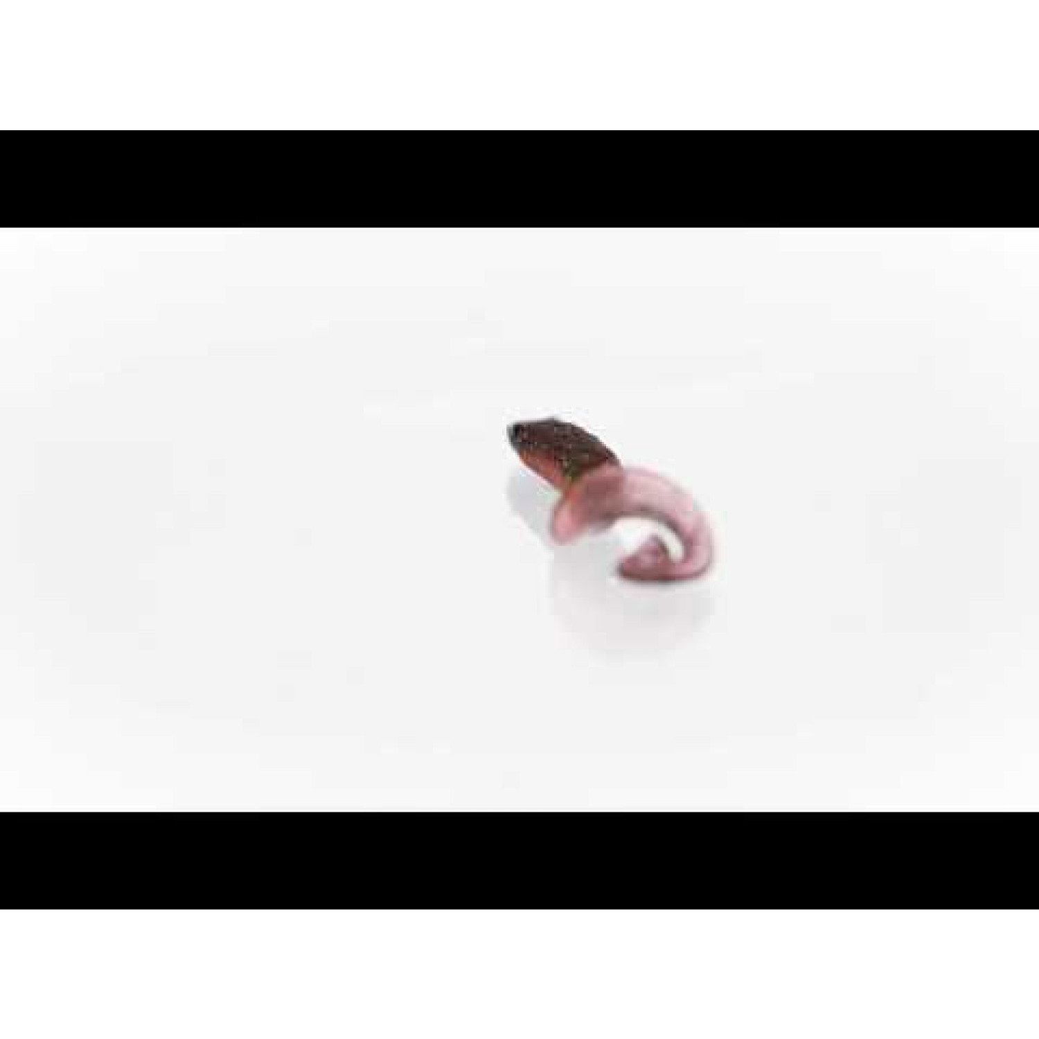 Силикон Westin RingTeez Curltail P010-309-010