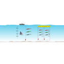 Монтаж с калмарки DTD Tataki Set 80501
