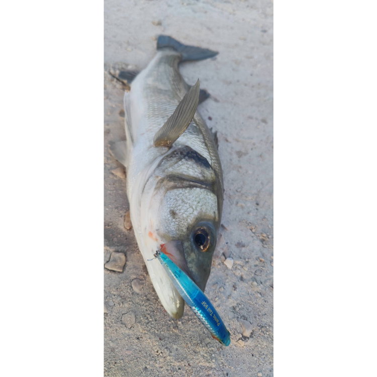 Воблер Sea Buzz Panic Tail 95F 955503