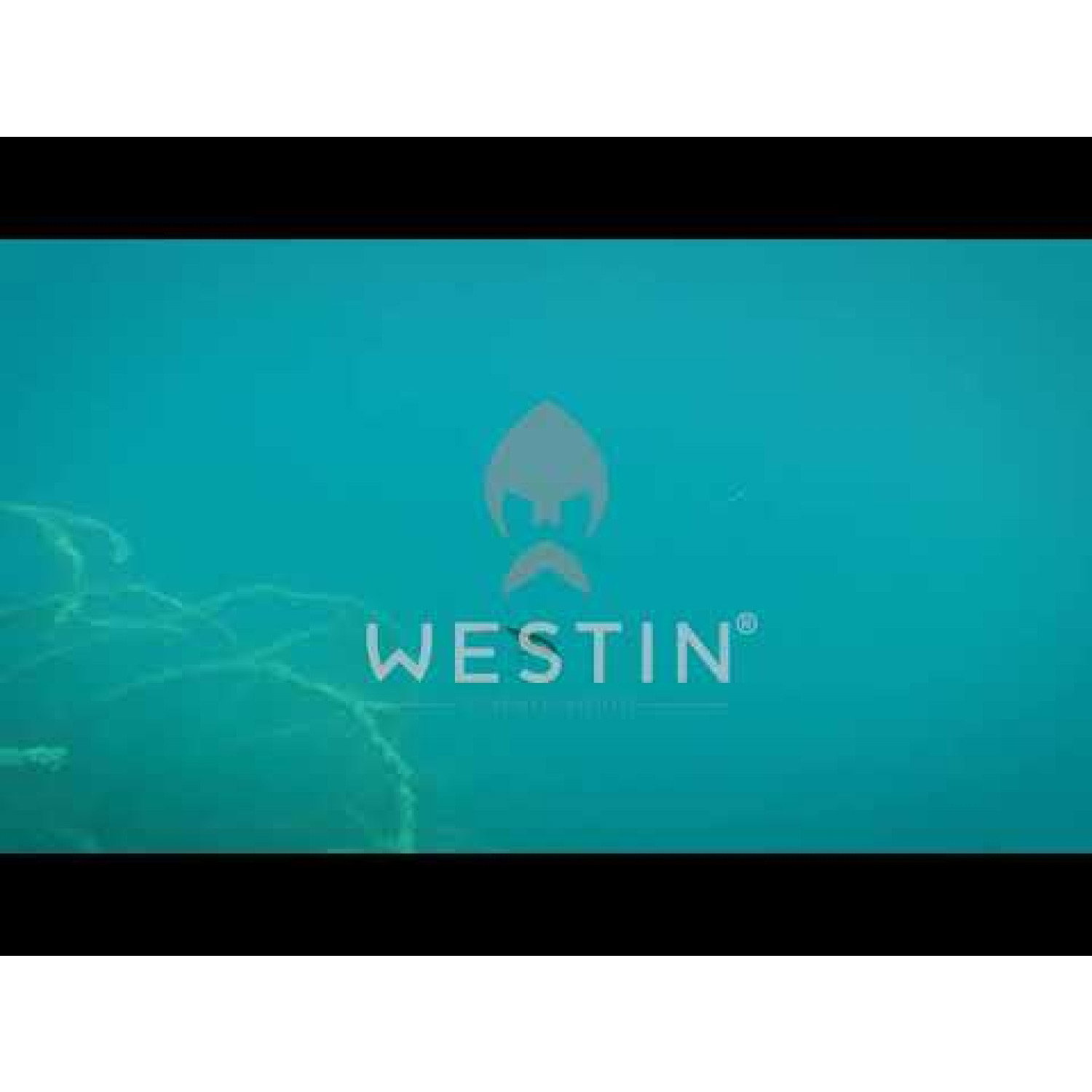 Воблер Westin Jerkbite SR P070-122-009
