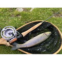 Дървен кеп FilStar Wood Bent Fly Net 955952