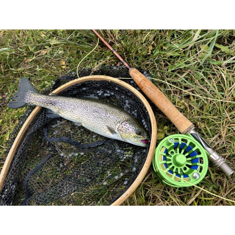 Дървен кеп FilStar Wood Bent Fly Net 955952