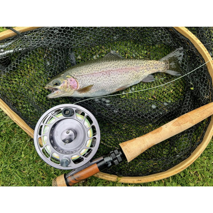 Дървен кеп FilStar Wood Bent Fly Net 955952