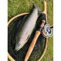 Дървен кеп FilStar Wood Bent Fly Net 955952