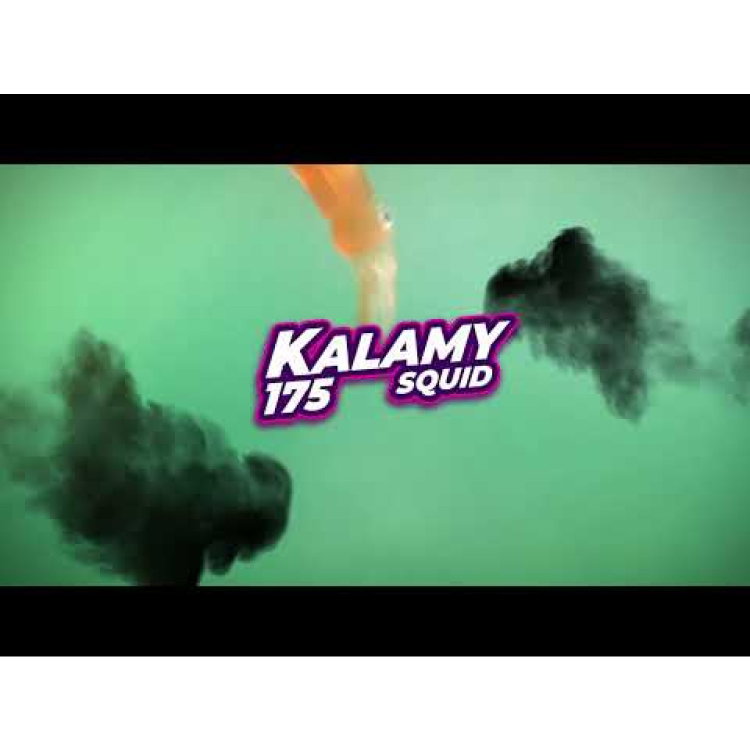 Силикон GT-Bio Kalamy Squid Combo GB-KS175-864