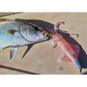 Силикон GT-Bio Kalamy Squid Combo GB-KS175-864