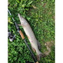 Въдица Filstar Silver Shadow EVO 956210