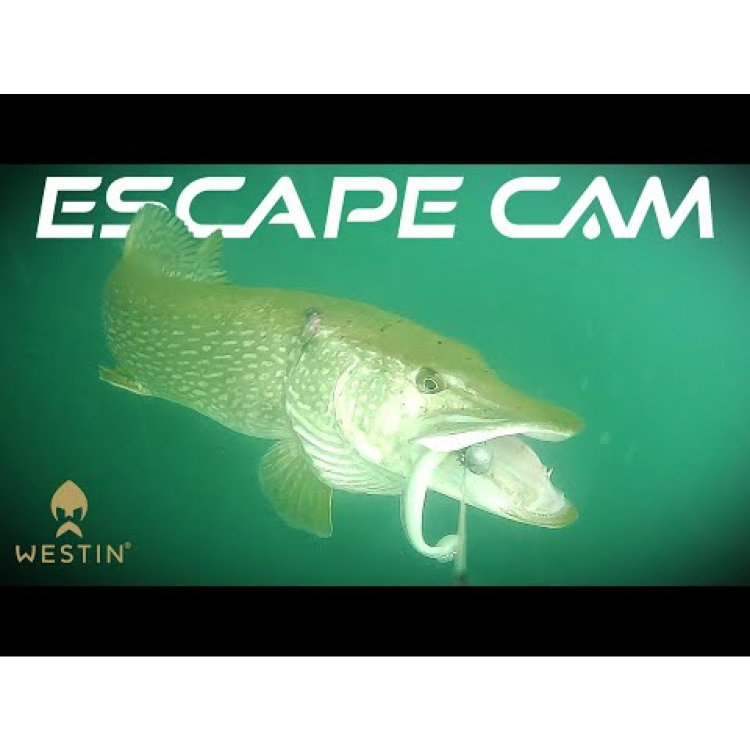 Камера Westin Escape Cam U100-040-106