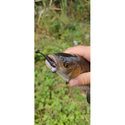 Силикон SeaBuzz Rocky Shad 957319