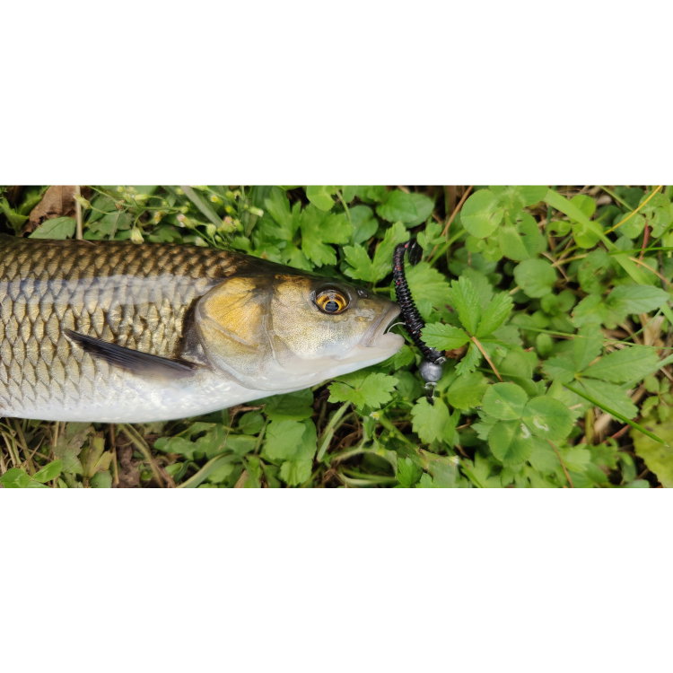 Силикон SeaBuzz Rocky Shad 957319