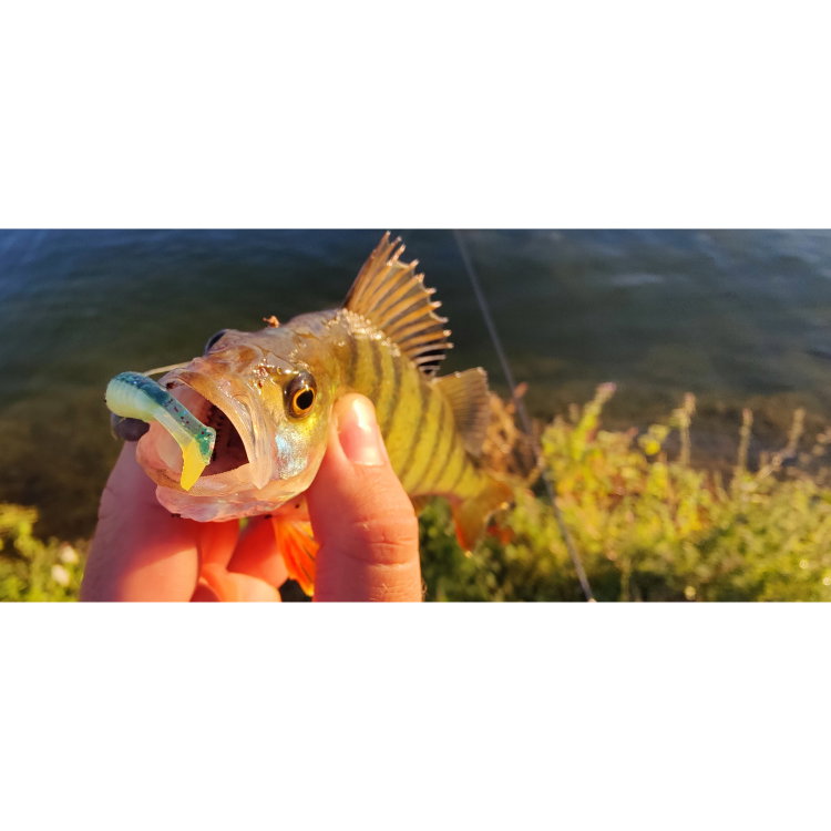 Силикон SeaBuzz Paddle Worm 957353