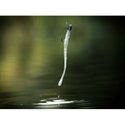 Силикон Linkor - Kiga Slim Worm 958939