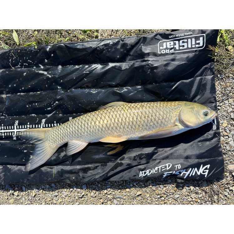Постелка за откачане с метър FilStar Compact Mat KK 35-1 KK 35-1