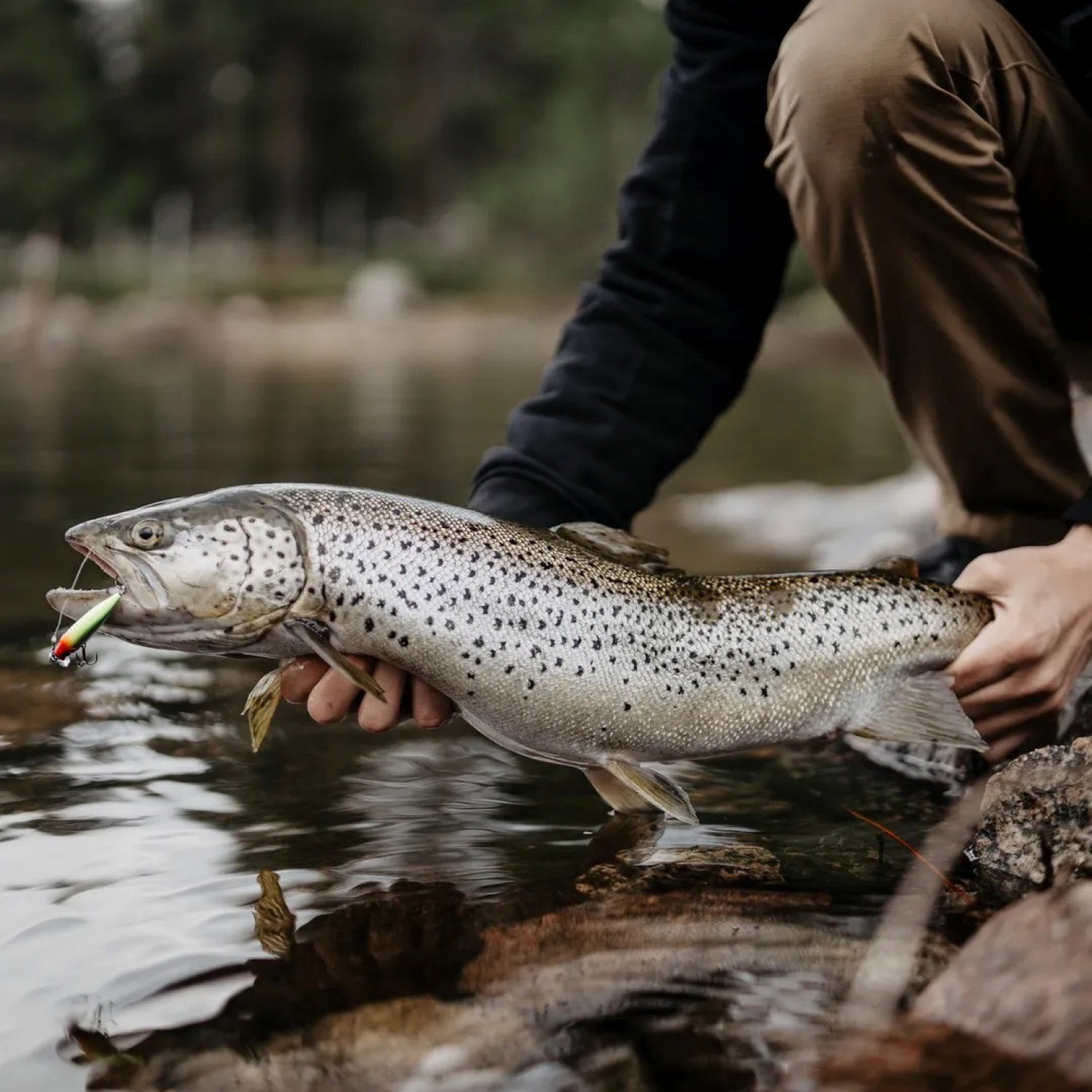 Воблер Rapala X-Light Minnow FNM05 - PEL