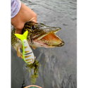 Воблер Rapala Super Shadow Rap Glide SSDRG11 - PEL