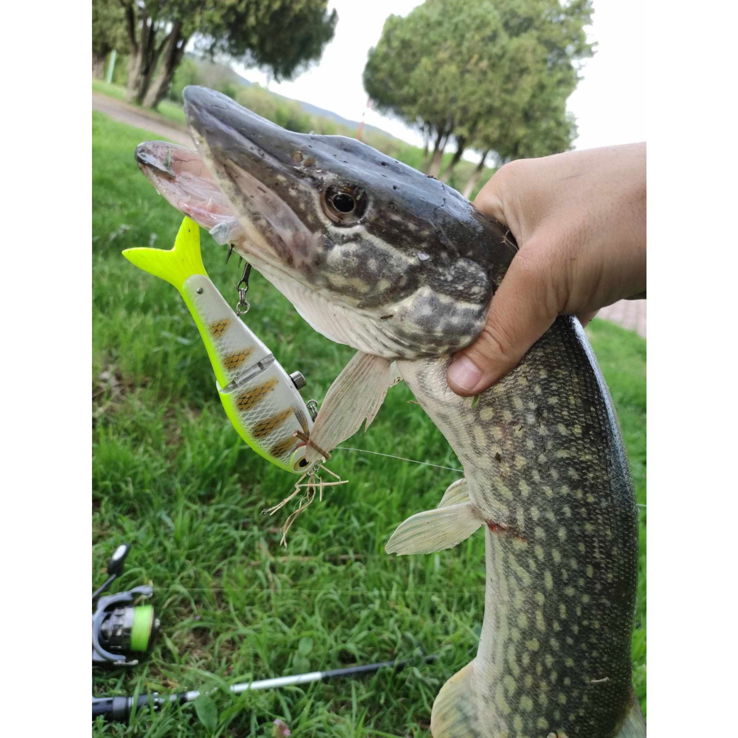 Воблер Rapala Super Shadow Rap Glide SSDRG11 - PEL