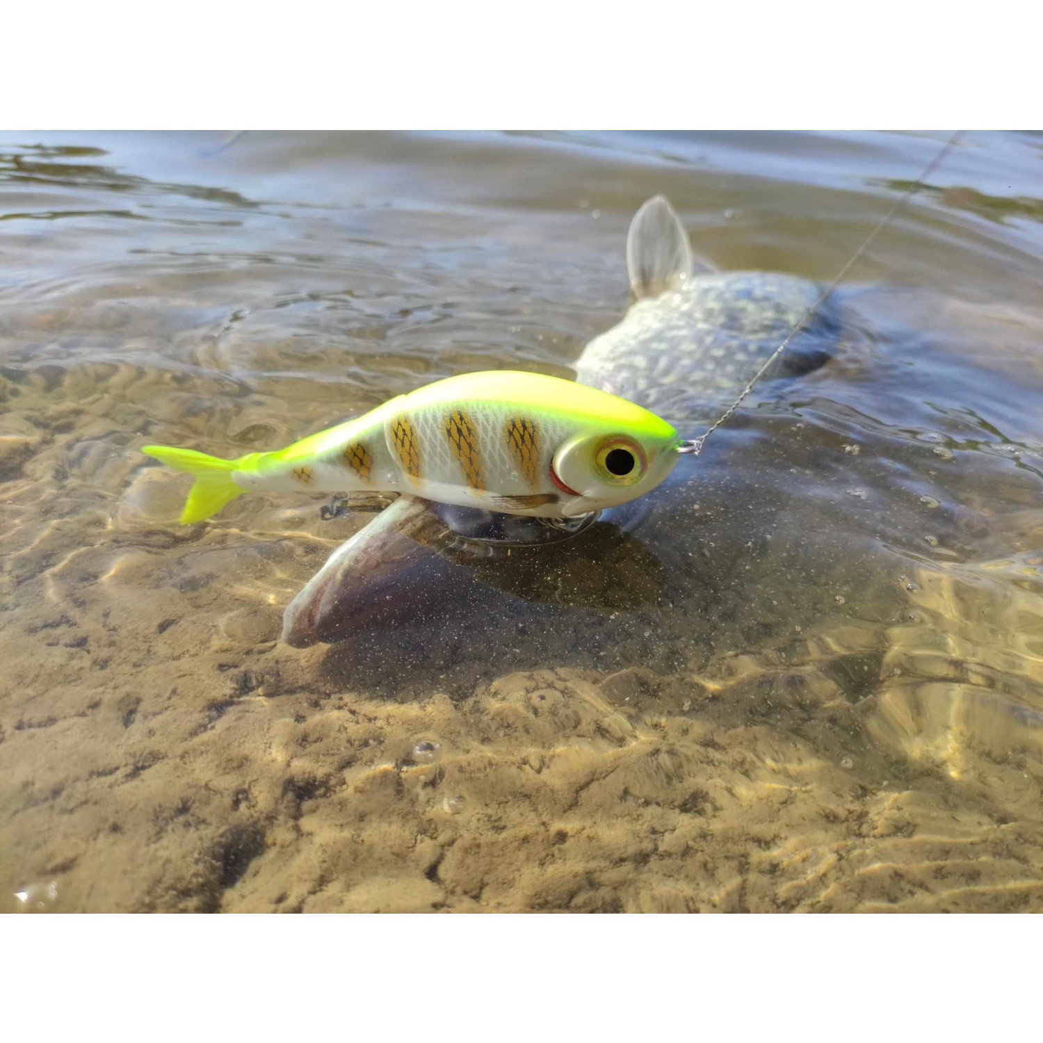 Воблер Rapala Super Shadow Rap Glide SSDRG11 - PEL