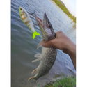 Воблер Rapala Super Shadow Rap Glide SSDRG11 - PEL