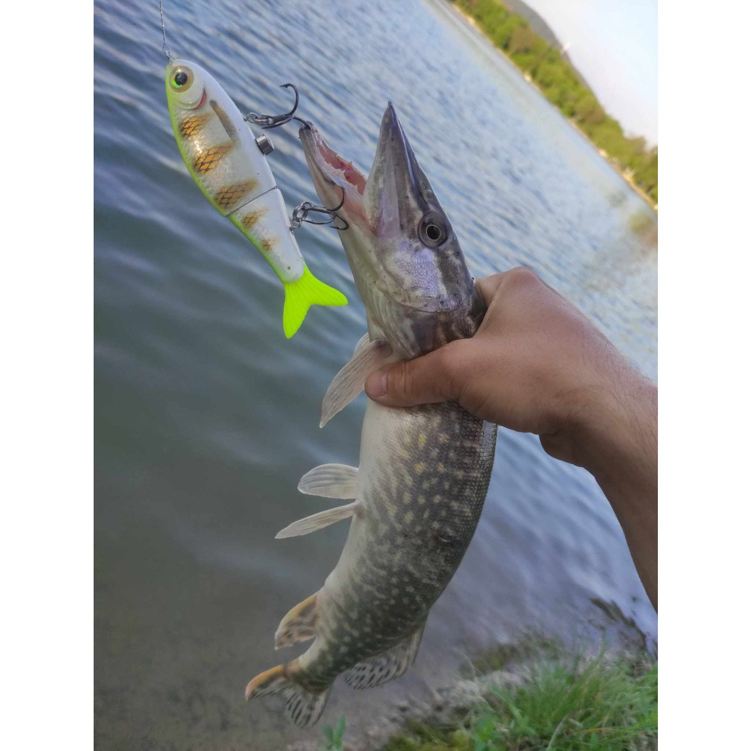 Воблер Rapala Super Shadow Rap Glide SSDRG11 - PEL
