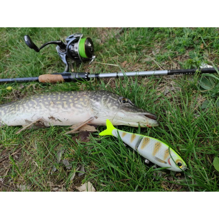 Воблер Rapala Super Shadow Rap Glide SSDRG11 - PEL