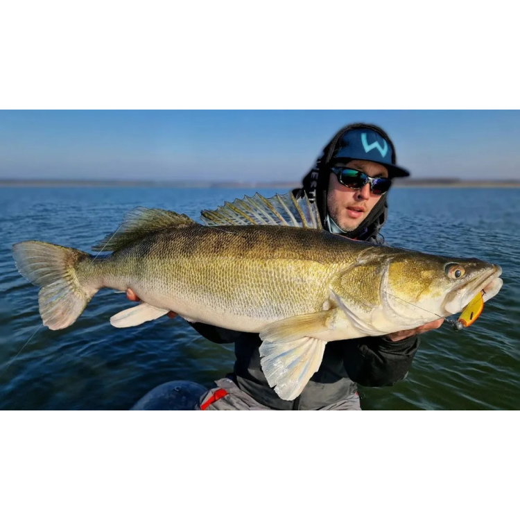 Силикон Westin Twinteez V-Tail P208-859-021