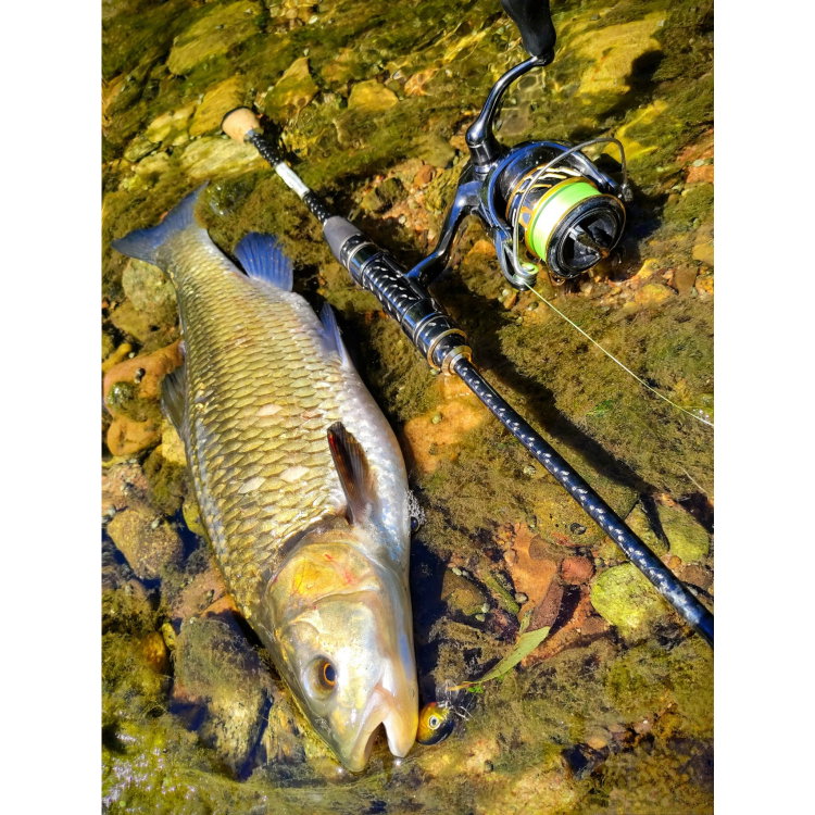 Въдица FilStar Venom River Crank 67UL
