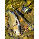 Въдица FilStar Venom River Crank 67UL