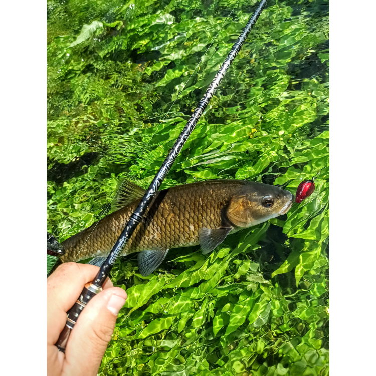 Въдица FilStar Venom River Crank 67UL