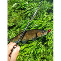Въдица FilStar Venom River Crank 67UL