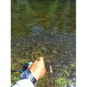 Въдица FilStar Venom River Crank 67UL