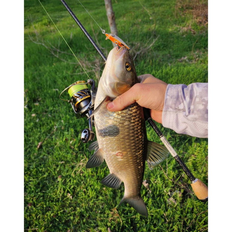 Въдица FilStar Venom River Crank 67UL
