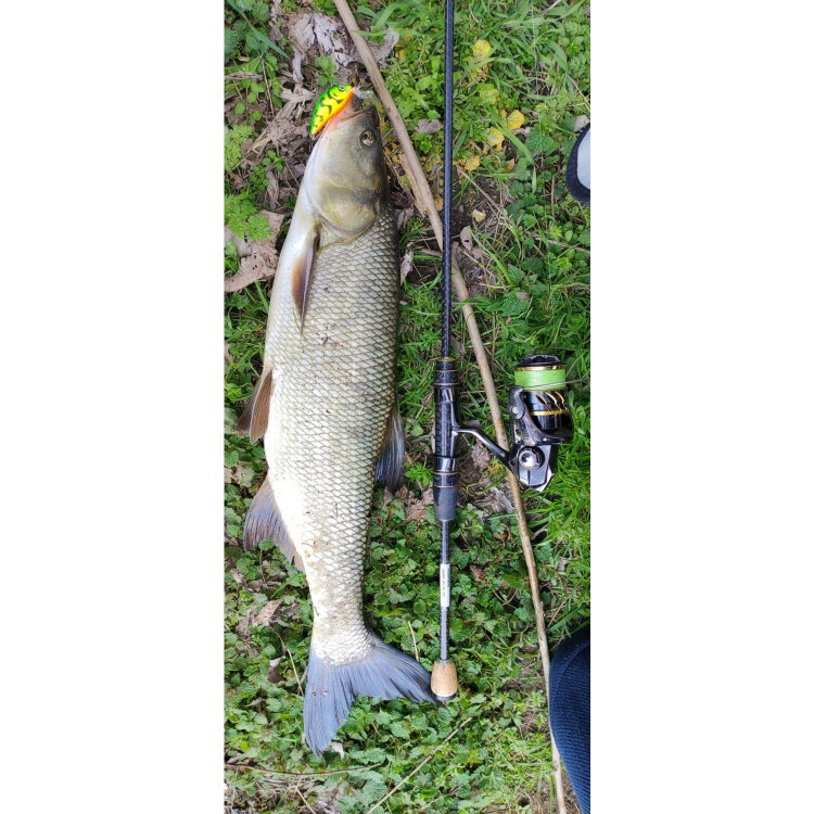 Въдица FilStar Venom River Crank 67UL