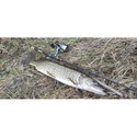 Въдица FilStar Venom River Crank 67UL