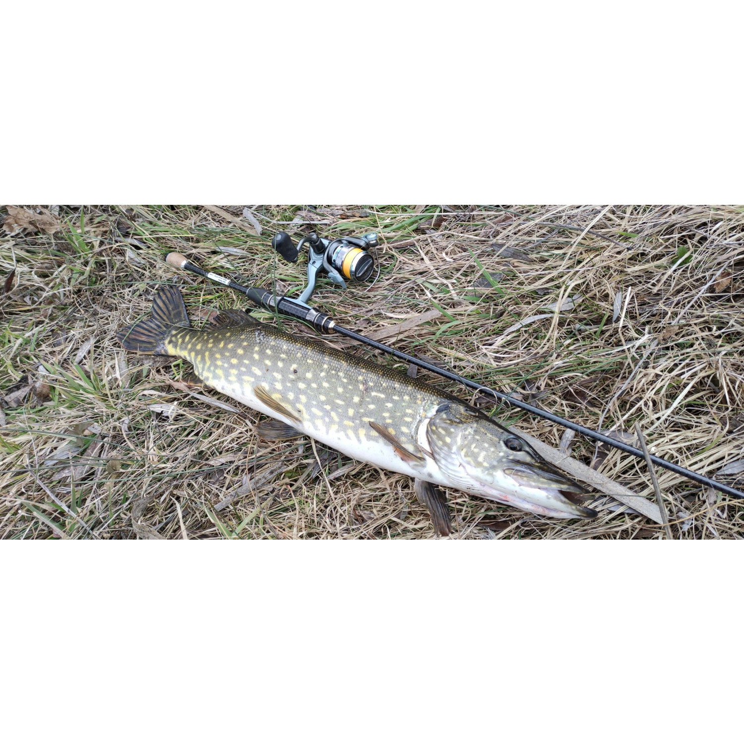 Въдица FilStar Venom River Crank 67UL