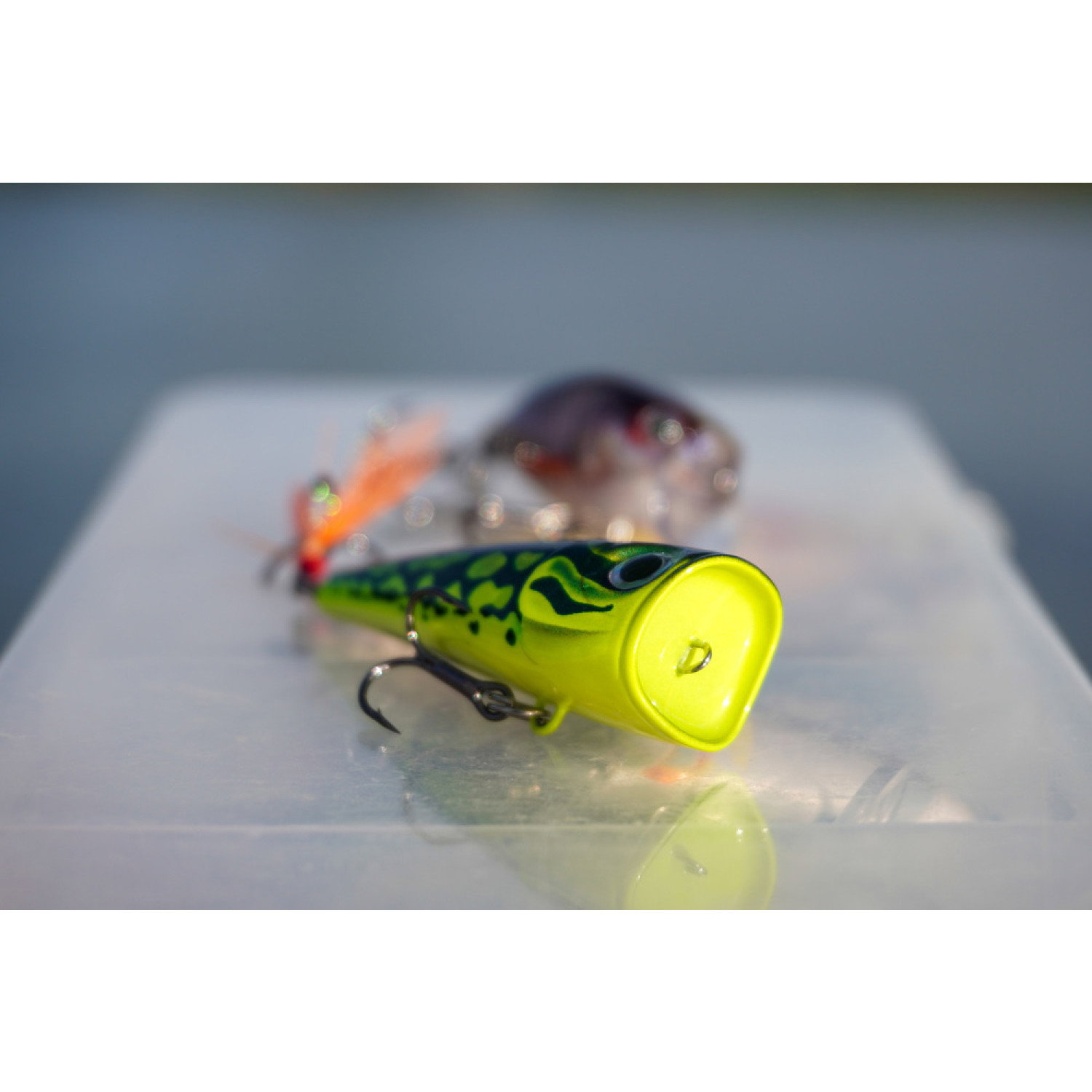 Воблер Rapala X-Light Pop FNP04 - PEL