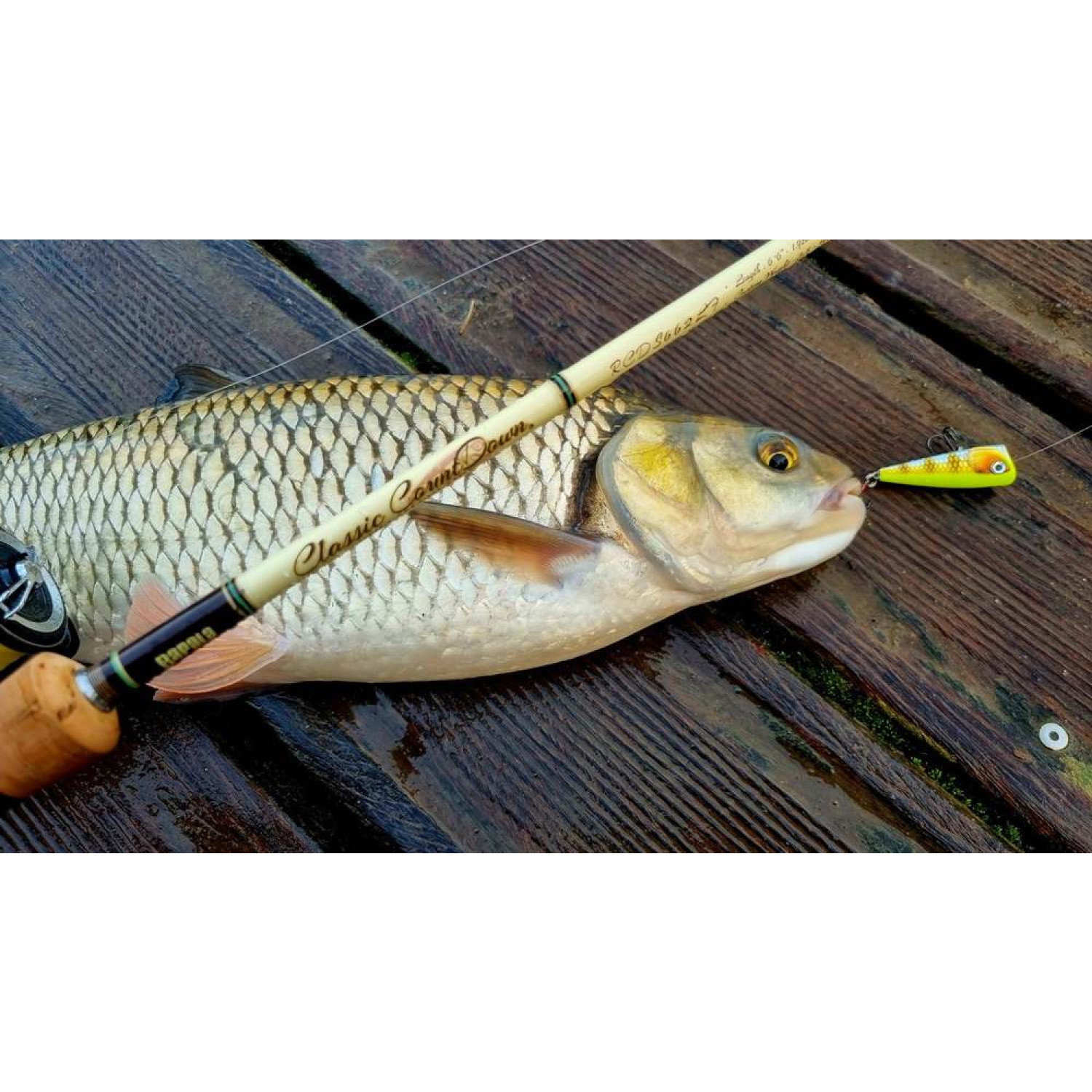 Воблер Rapala X-Light Pop FNP04 - PEL