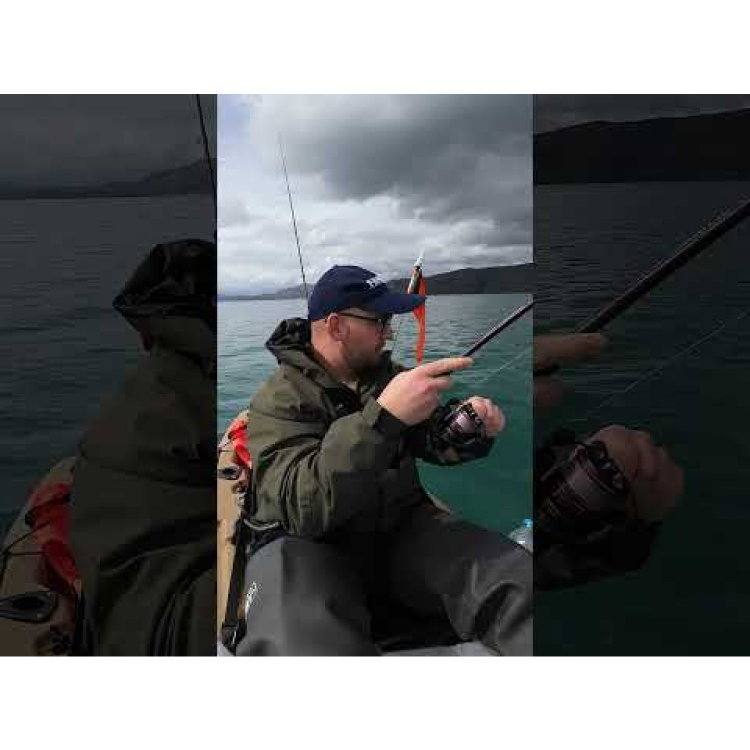 Воблер Rapala Floater Elite FE85 - GDP