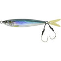 #01 The Sardine