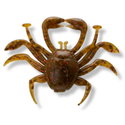 Силикон BB - Rockin Crab 960683