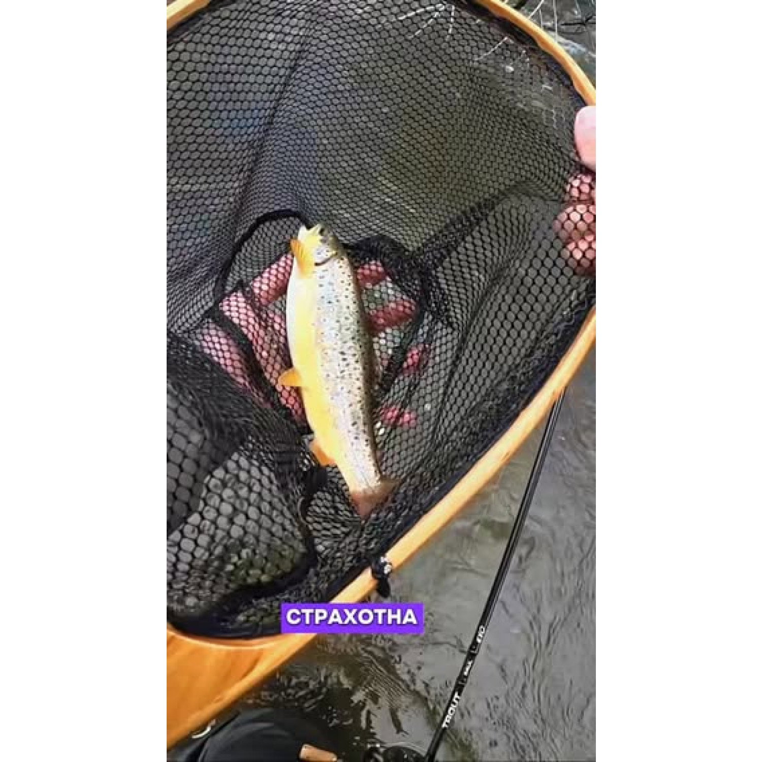 Въдица Filstar 365 Trout Spin Evo 54UL EVO