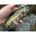 Въдица Filstar 365 Trout Spin Evo 54UL EVO