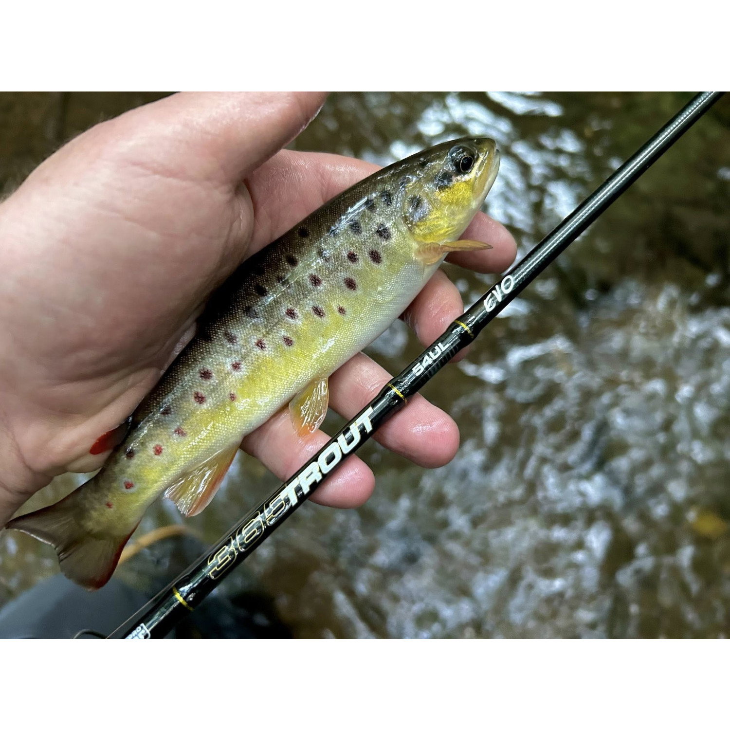 Въдица Filstar 365 Trout Spin Evo 54UL EVO