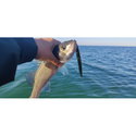 Воблер Westin Sandy Fixed S087-695-070
