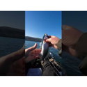 Воблер Westin Sandy Fixed SBass S090-1101-084