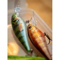 Воблер Salmo Rattlin’ Executor SDR QRZ055