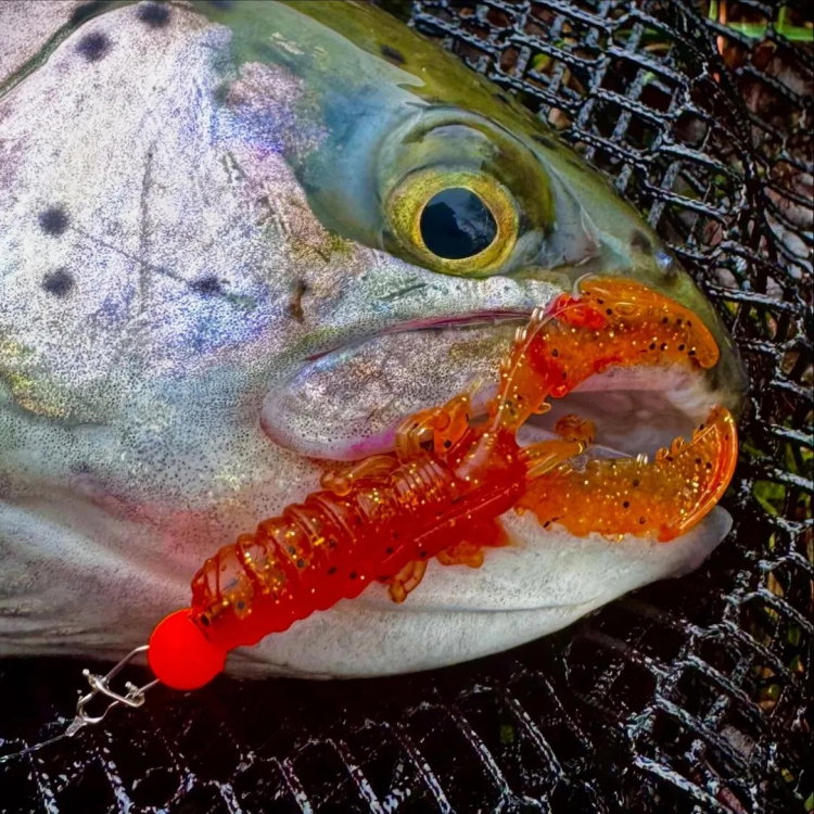 Силикон Westin CreCraw Slim Creaturebait P238-1090-239