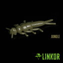 Jungle