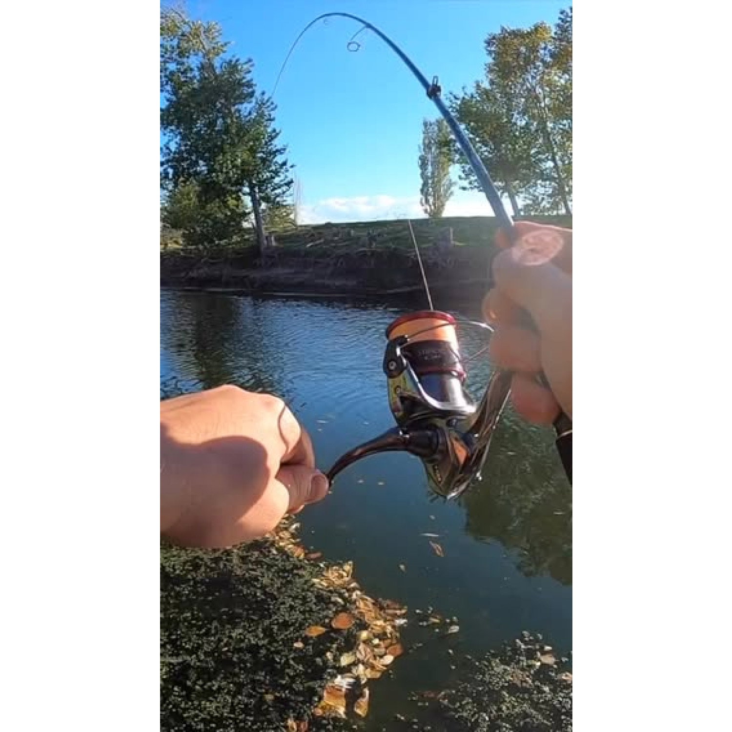 Силикон BB - Fish tail Shad U30 950505