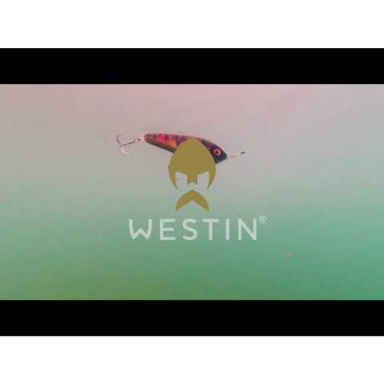 Воблер Westin Swim Glidebait P036-550-038
