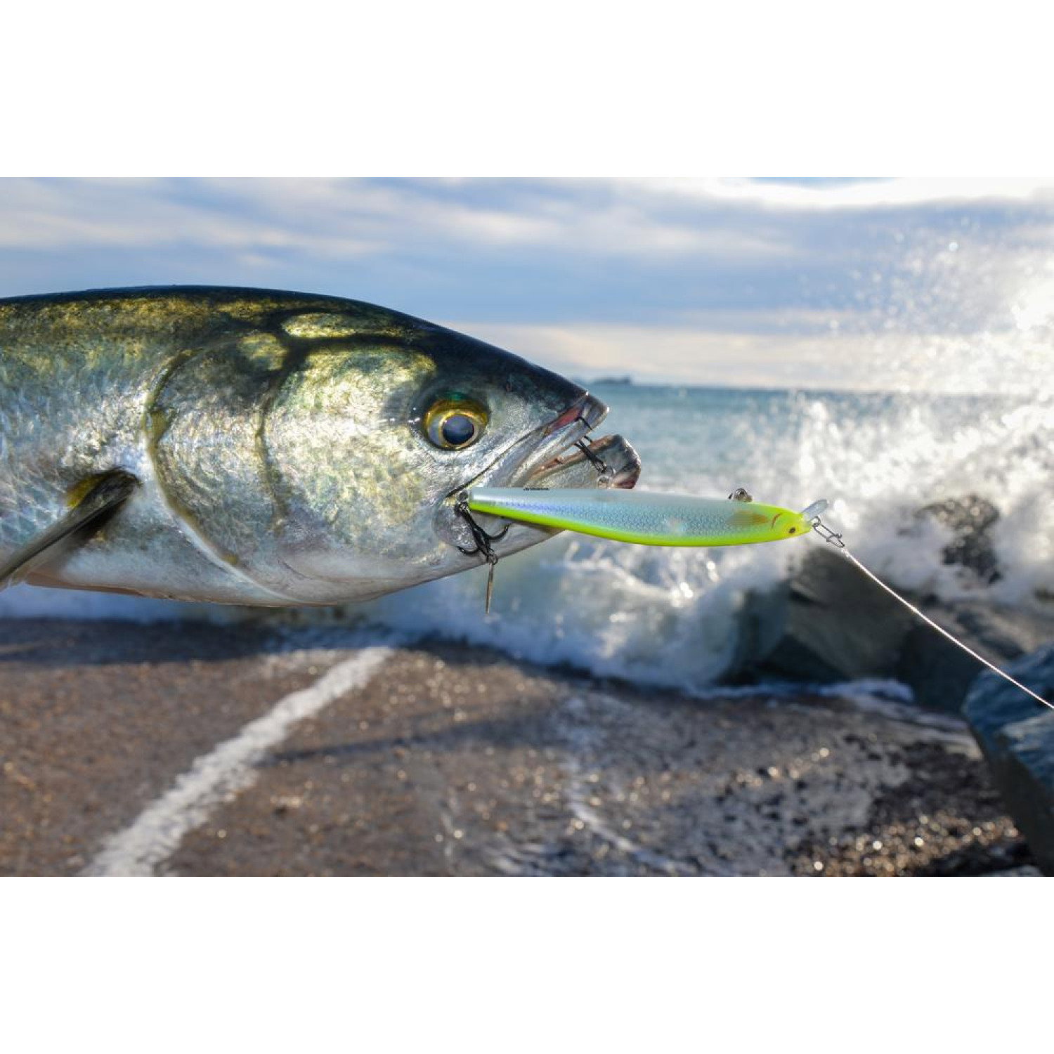 Воблер Max Rap Long Range Minnow MXLM12 - FBBTO